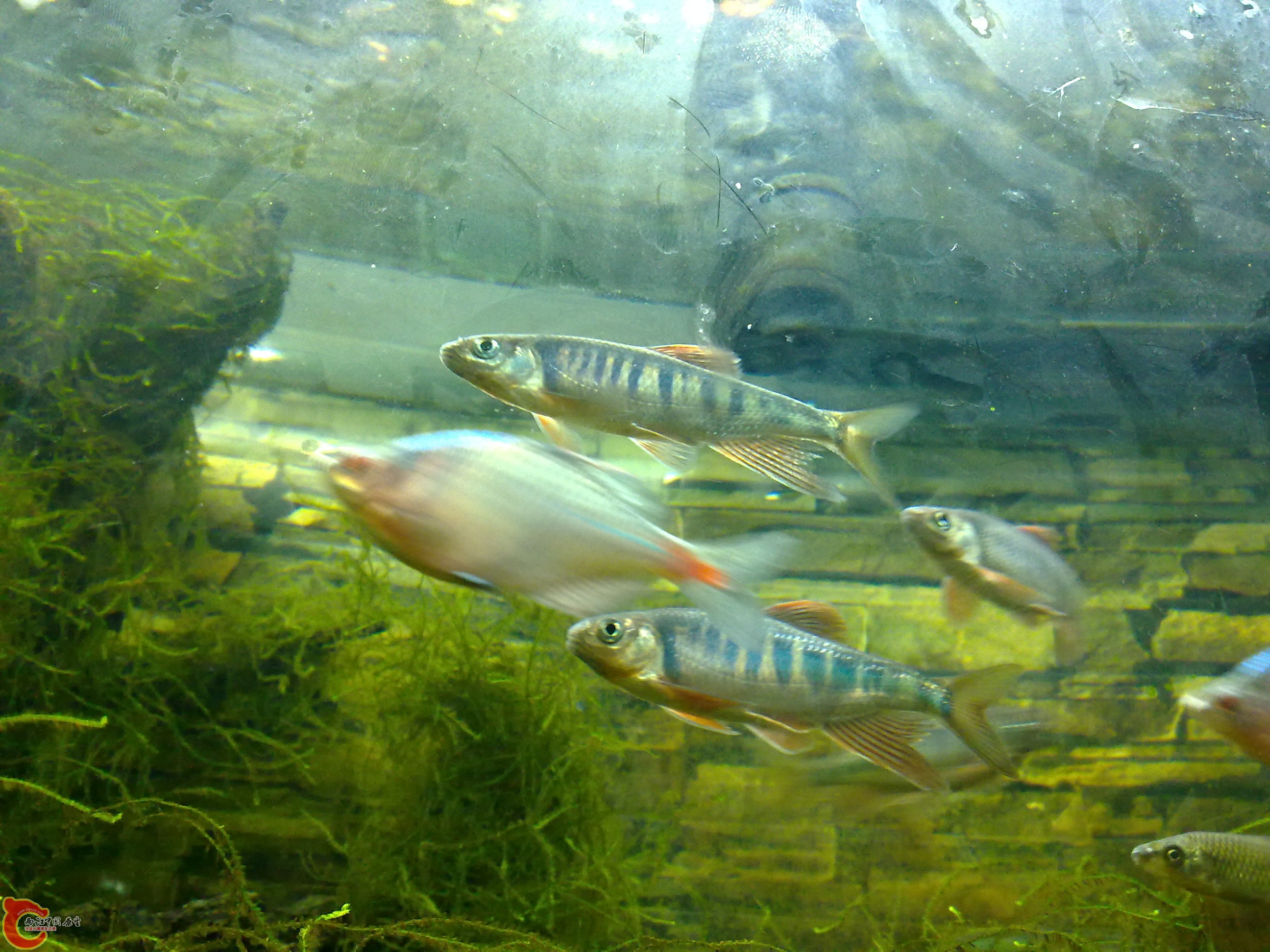 20110219843.jpg