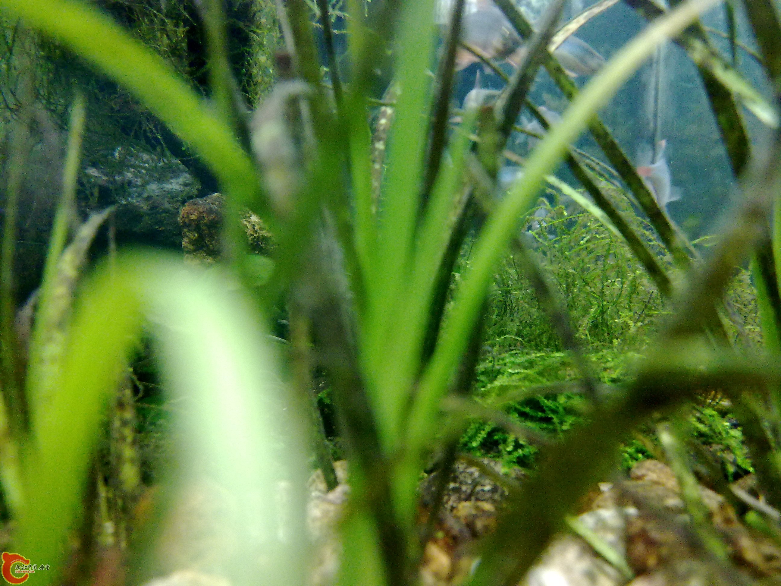 20110219872.jpg