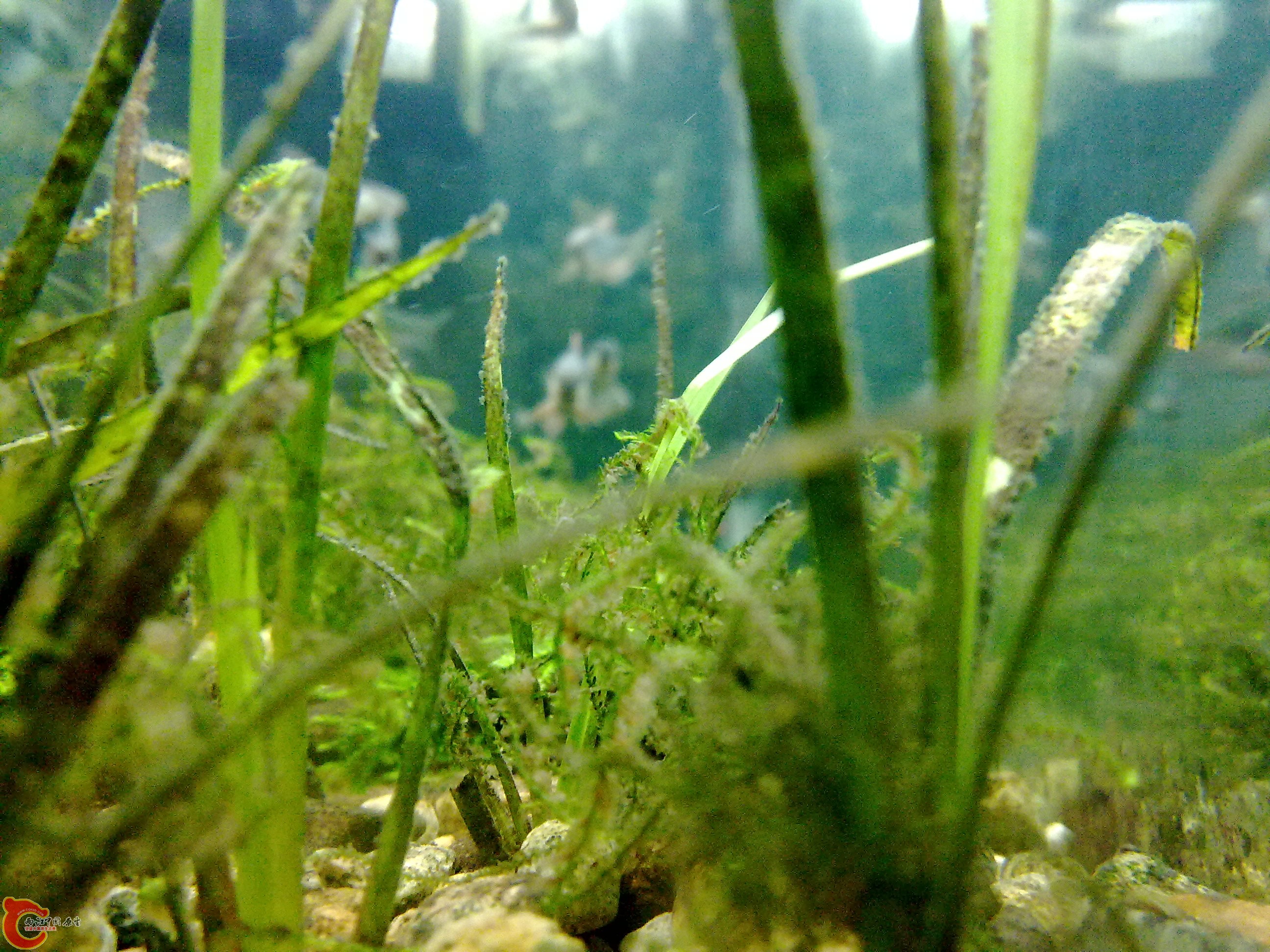 20110219875.jpg