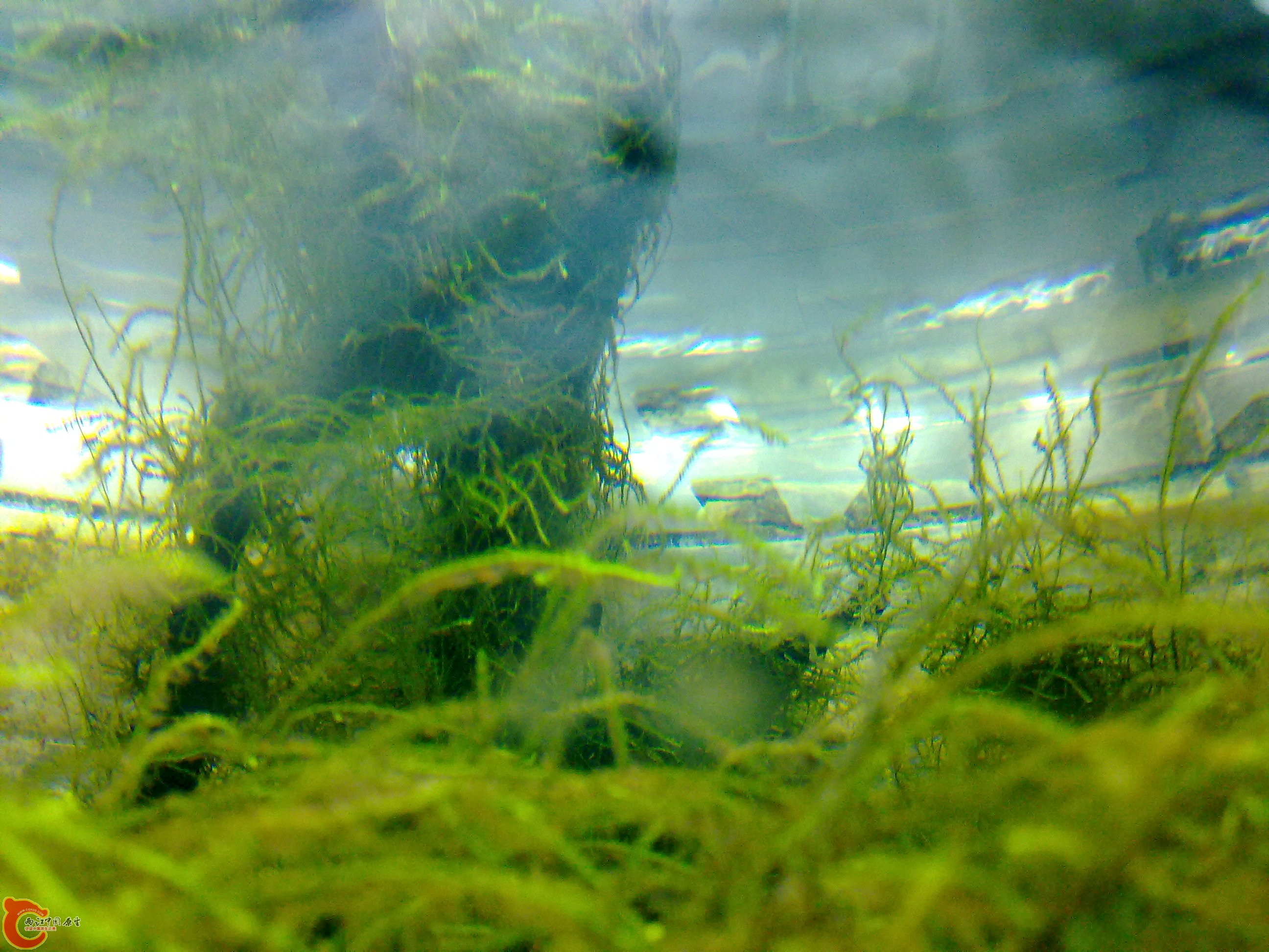 20110219932.jpg