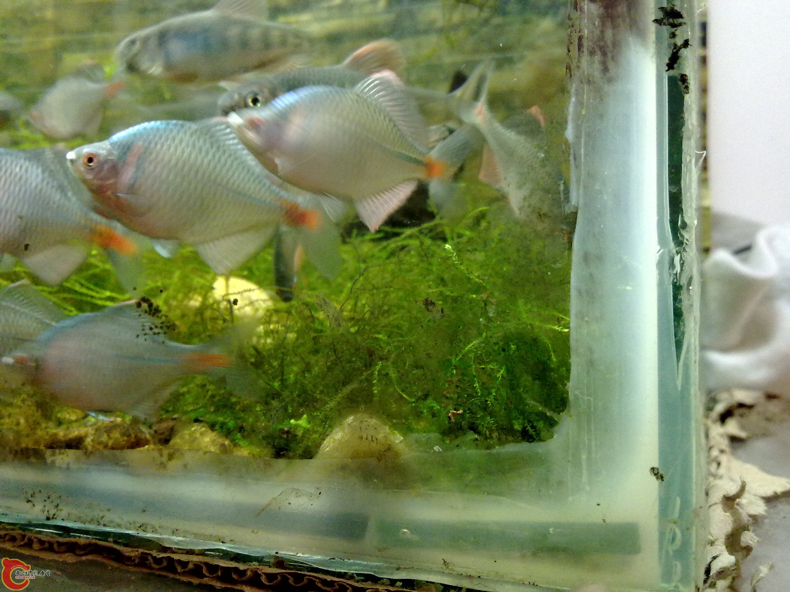20110217727.jpg