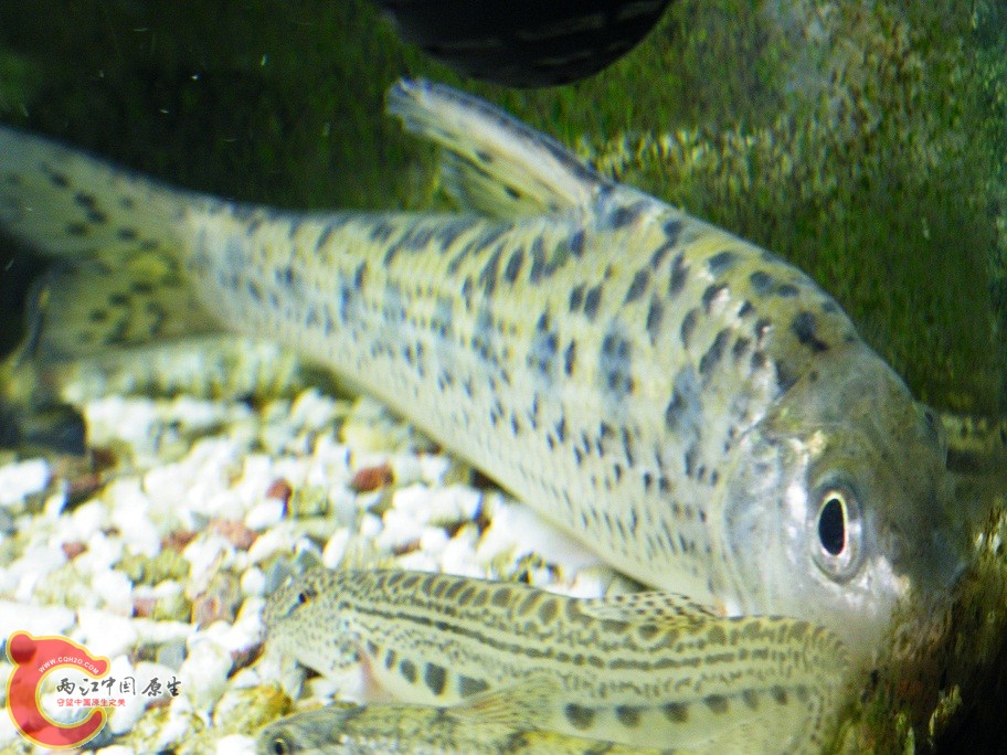 DSCF5793.JPG