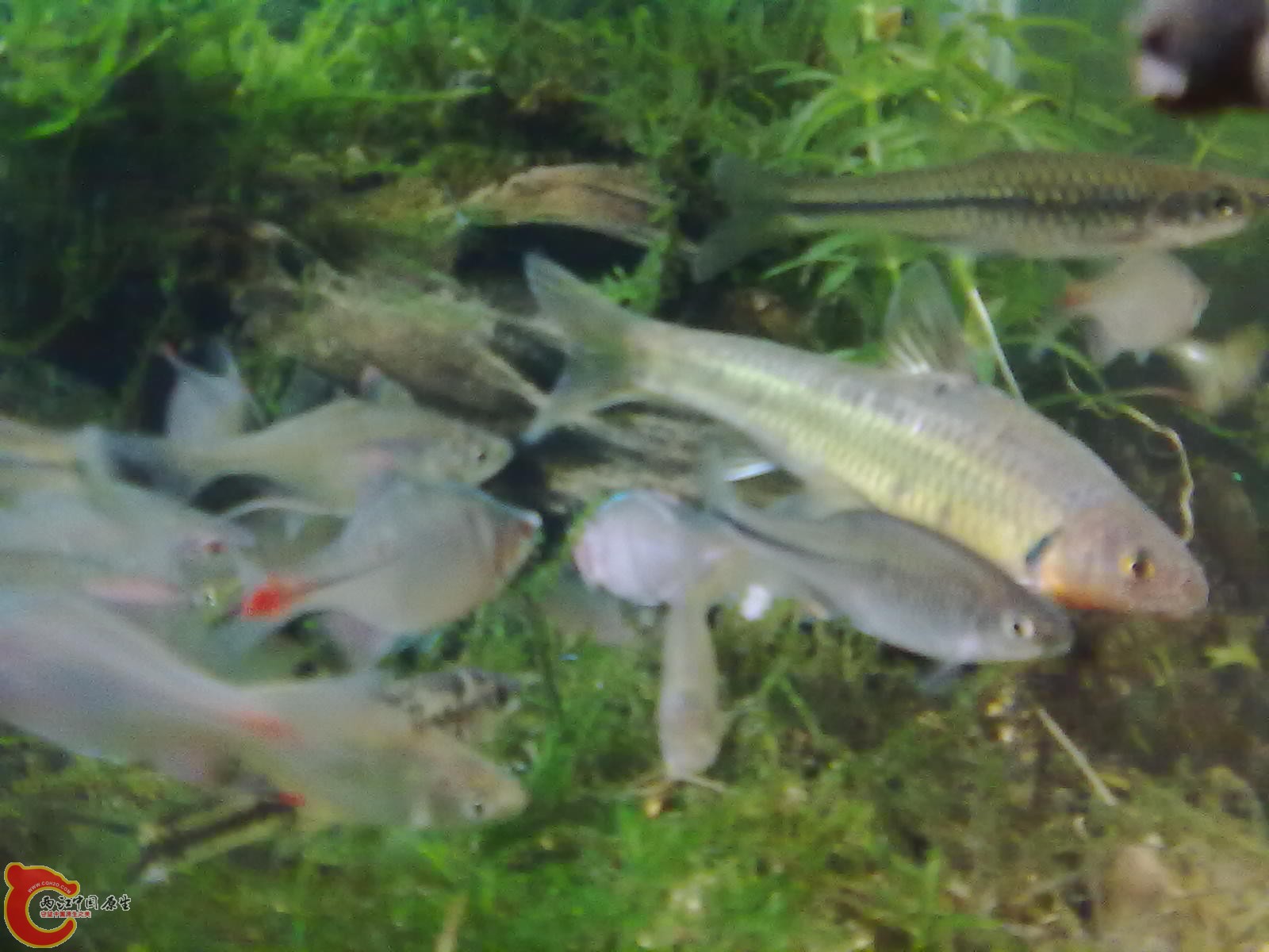 20110220356.jpg