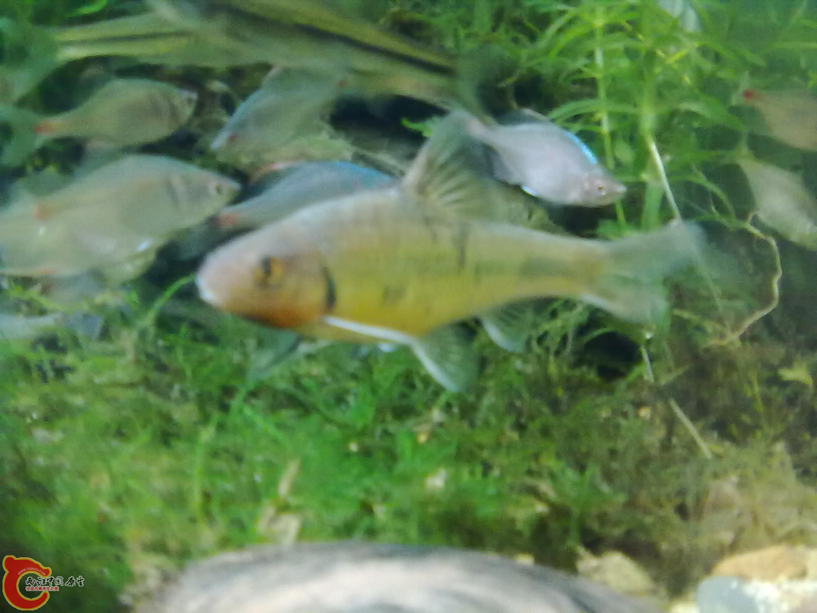 20110220358.jpg
