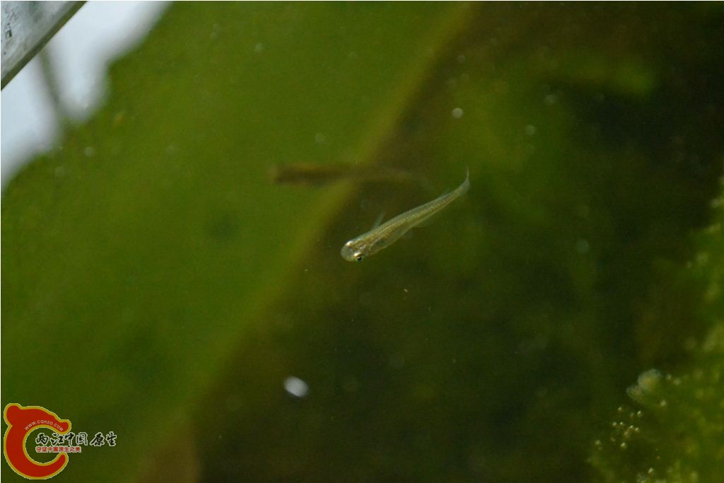 201102201579.JPG
