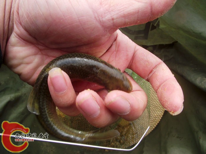 DSCF2909.jpg