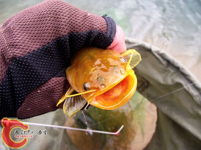 DSCF2925.jpg